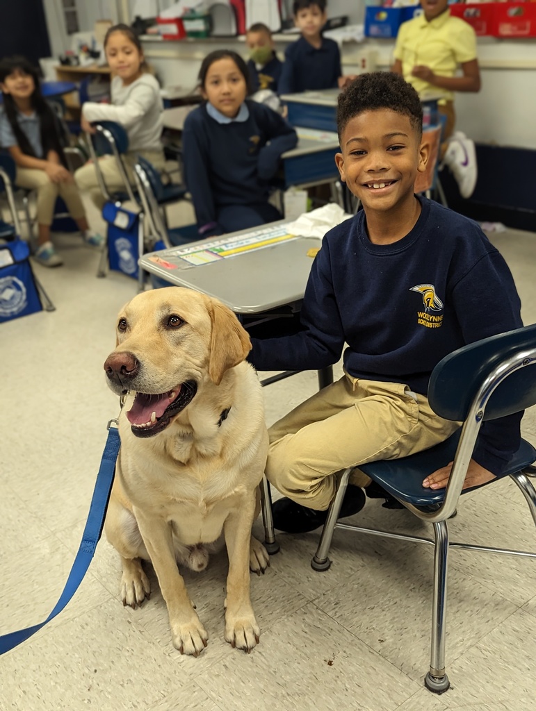 Live Feed Woodlynne School District