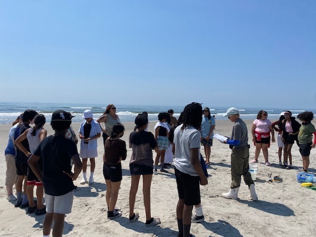 Students listening to Wetlands instructor on the beach
