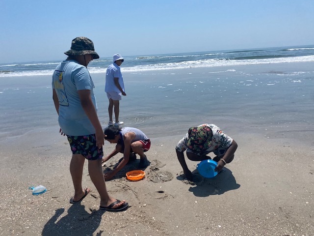 Student sifting sand at the ocean