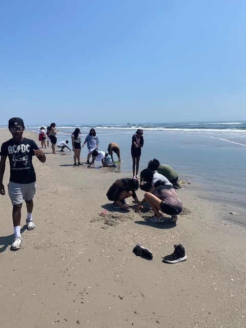 Students exploring the sand 